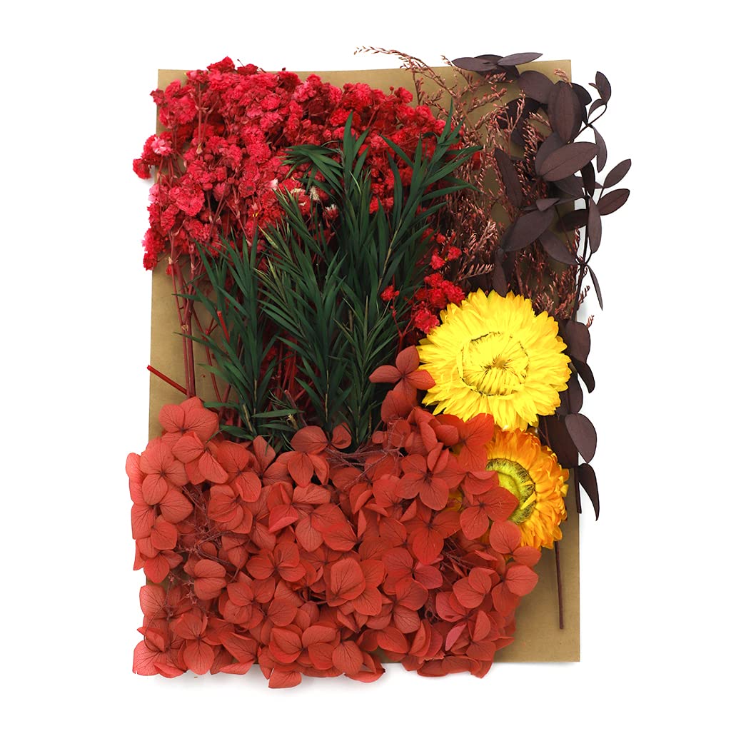 Supvox Natural Dry Flower Ornament DIY Resin Art Decor Dried Flower Set for Resin Art Scented Candle Decor Photoframe Room Decoration Supvox Natural Dry Flower Ornament DIY Resin Art Decor Dried Flower Set for Resin Art Scented Candle Decor Photoframe Room Decoration